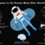 What Happens to the Human Body After Months in Space